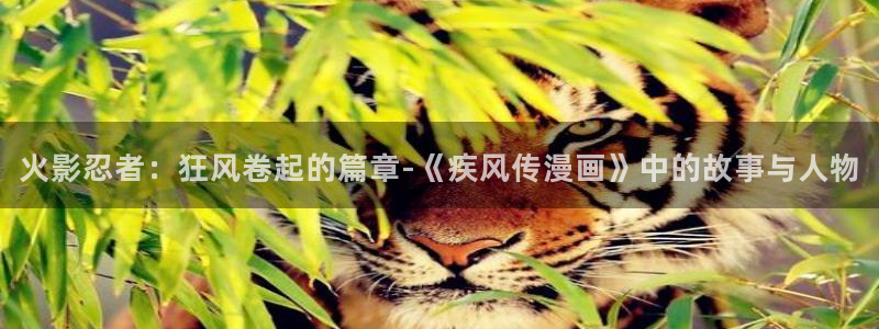 喵七漫画：火影忍者：狂风卷起的篇章-《疾风传漫画》中的故事与人物